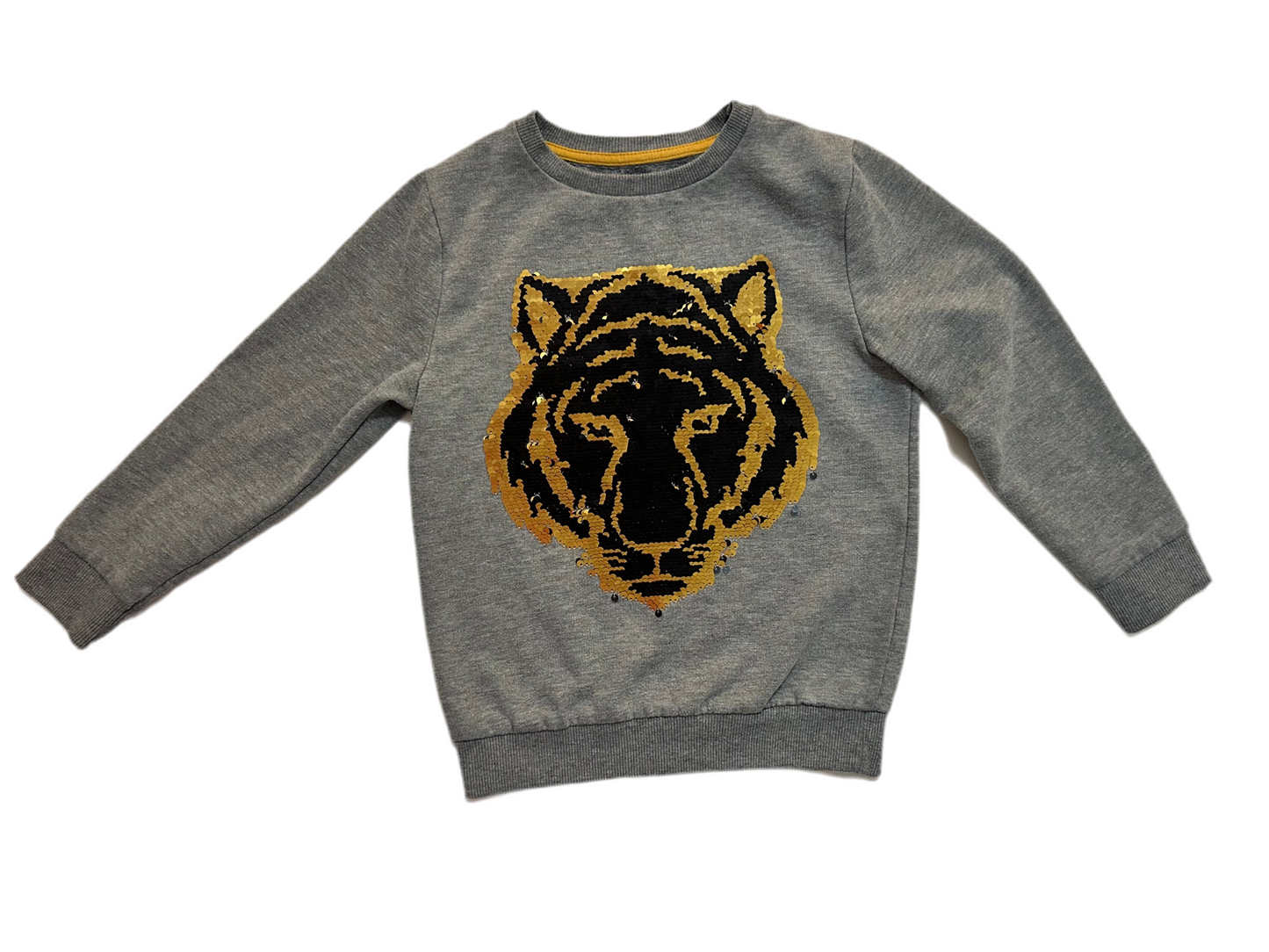 St Bernard 6years/ans