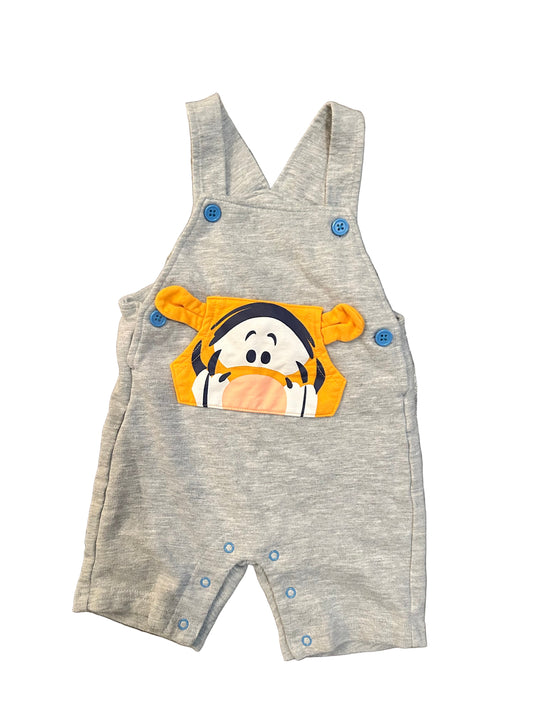 Disney Baby 12M
