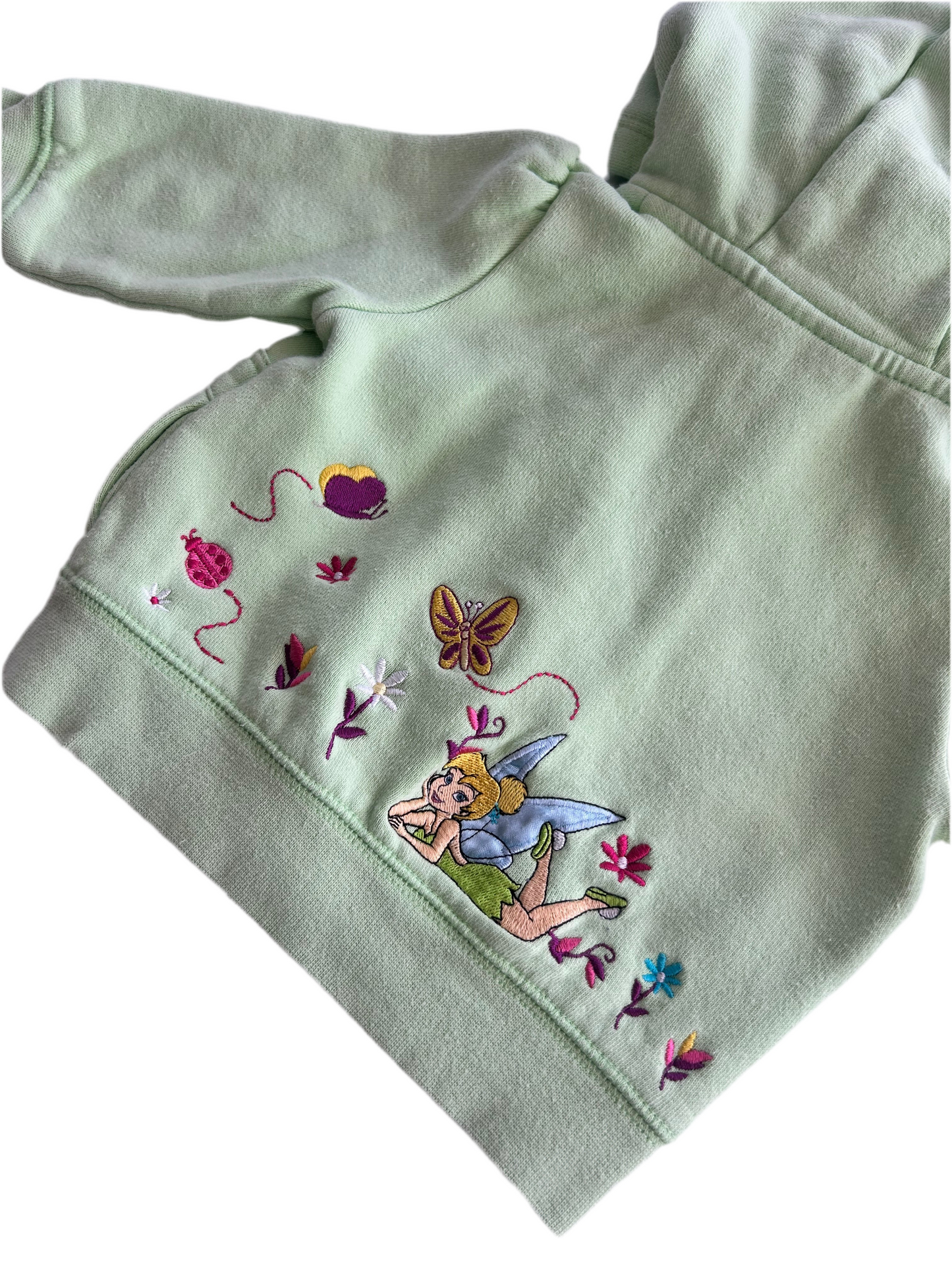 Disneyland resort 12M